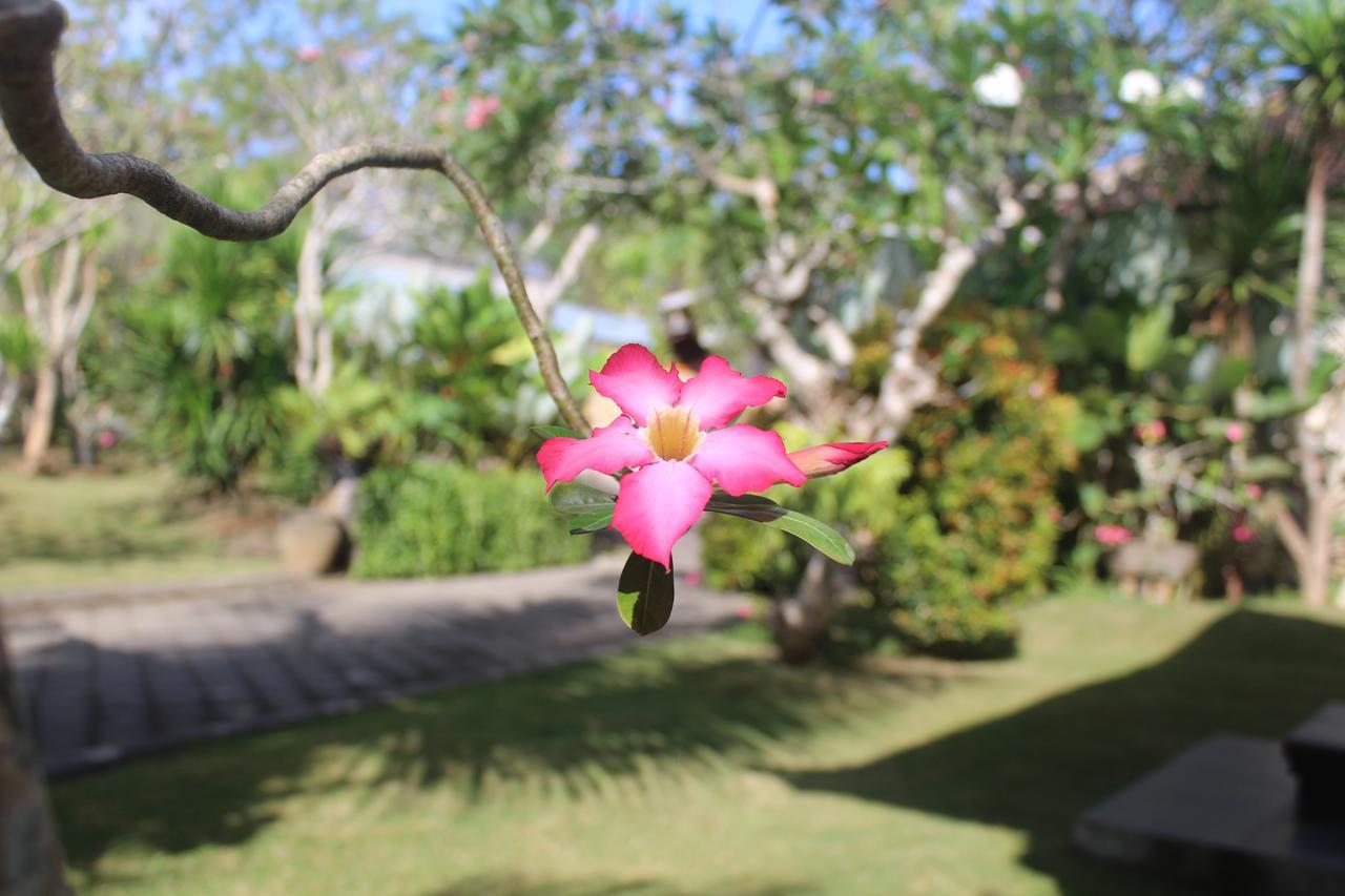 נוסא דואה El Homestay Bali מראה חיצוני תמונה