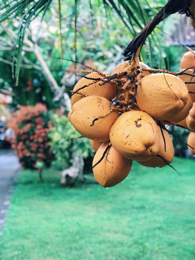 נוסא דואה El Homestay Bali מראה חיצוני תמונה