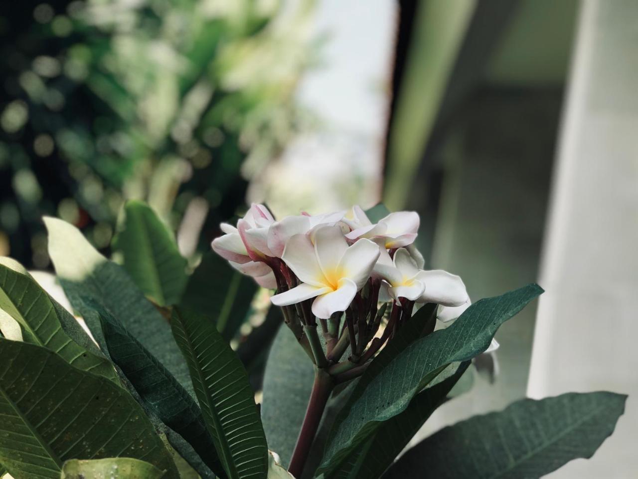 נוסא דואה El Homestay Bali מראה חיצוני תמונה